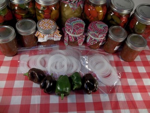 (image for) Single Mason Jar Lid Gaskets BPA and Phalate-Free Food-Grade
